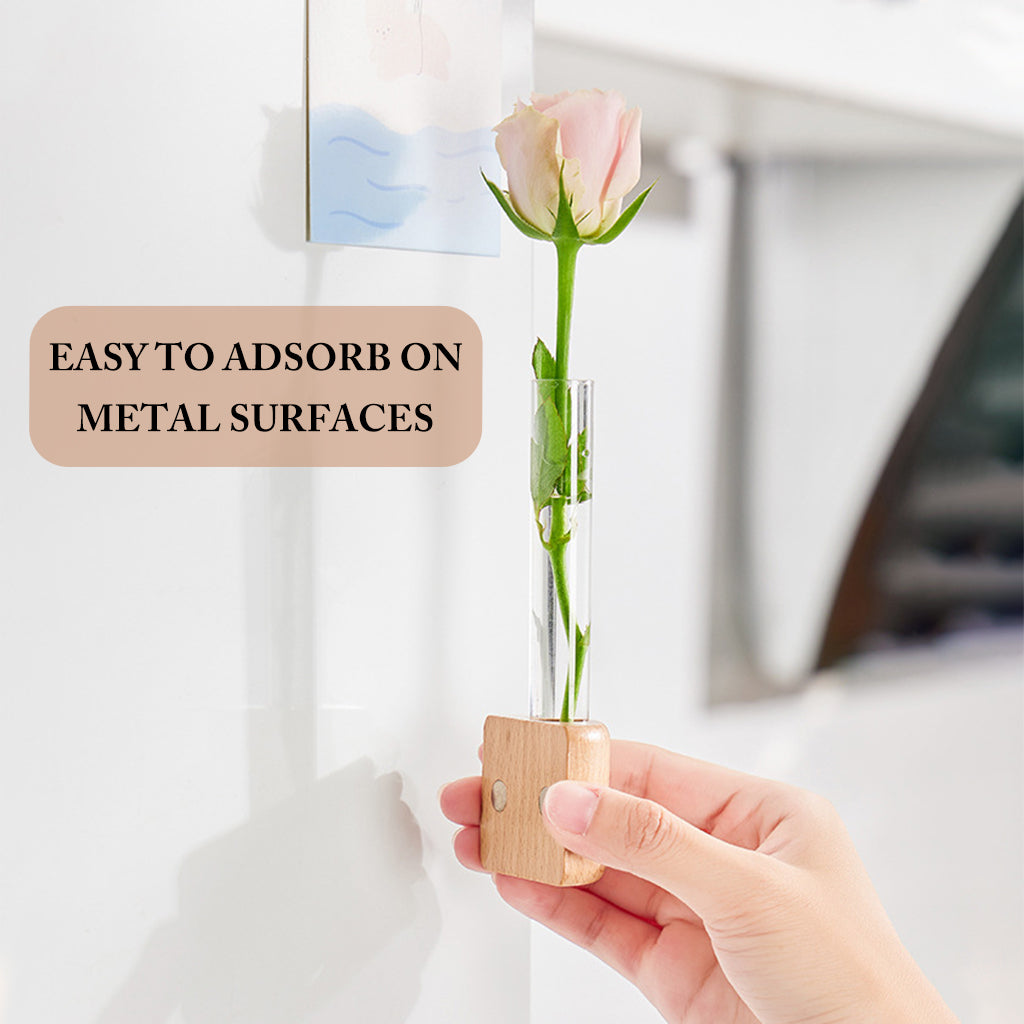 HASTHIP Fridge Magnet Decorative Mini Hydroponics Tube with Magnetic Wooden Holder Fresh Green Hydroponics Fridge Refrigerator Magnet Home Decor HASTHIP Fridge Magnet Decorative Mini Hydroponics Tube with Magnetic Wooden Holder Fresh Green Hydroponics Fridge Refrigerator Magnet Home Decor